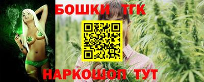 индика Кинель