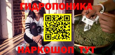 индика Кинель