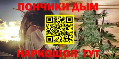 индика Кинель